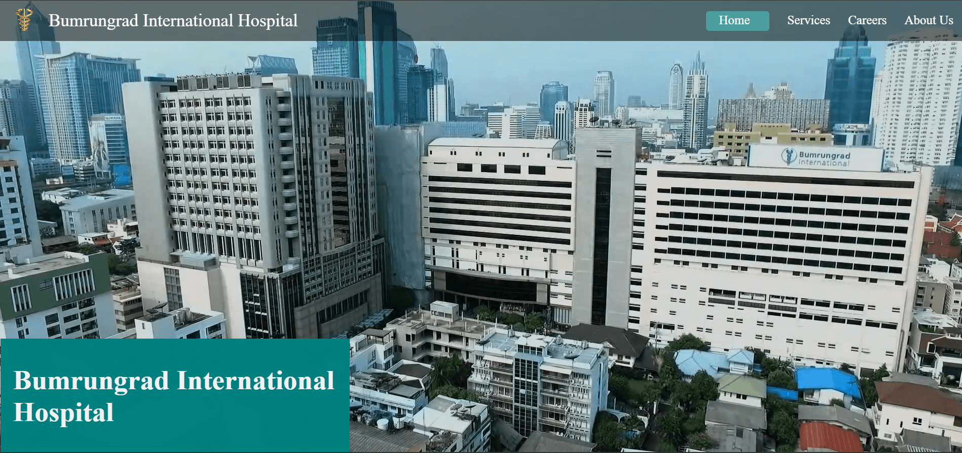 Hospital Website